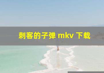 刺客的子弹 mkv 下载